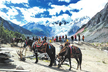 Load image into Gallery viewer, 12 Ngày Từ Thành Đô Tới Tây Tạng - Vùng Đất Huyền Bí