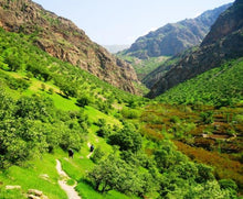 Load image into Gallery viewer, Iran 14 Ngày - Sự Pha Trộn Của Thiên Nhiên Và Văn Hóa