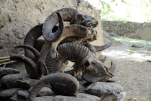 Load image into Gallery viewer, 9 Ngày Kyrgyzstan - Tajikistan Trên Đường Cao Tốc Pamir Và Vành Đai Wakhan Huyền Thoại