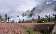 Load image into Gallery viewer, 16 Ngày Ladak & Spiti Khám Phá Tiểu Tây Tạng Của Ấn Độ