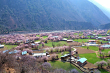 Load image into Gallery viewer, 12 Ngày Từ Thành Đô Tới Tây Tạng - Vùng Đất Huyền Bí