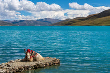 Load image into Gallery viewer, 12 Ngày Từ Thành Đô Tới Tây Tạng - Vùng Đất Huyền Bí