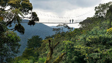 Load image into Gallery viewer, 10 Ngày Rwanda - Hành Trình Truy Tìm Gorilla