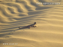 Load image into Gallery viewer, 15 Ngày Uzbekistan - Từ Sa Mạc Kyzyl-Kum Đến Biển Aral