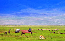 Load image into Gallery viewer, 4 Ngày Khám Phá Tanzania Kỳ Thú