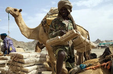 Load image into Gallery viewer, 11 Ngày Khám Phá Miền Bắc Ethiopia Và Lòng Chảo Danakil