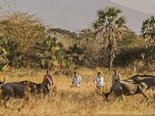 Load image into Gallery viewer, 4 Ngày Tanzania