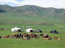 Load image into Gallery viewer, 7 Ngày Mông Cổ - Gobi &amp; Karakorum Niềm Tự Hào Mông Cổ
